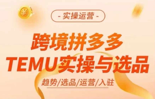 跨境拼多多TEMU实操与选品，多多temu跨境选品运营实操-皮皮网创