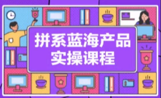 拼系冷门蓝海产品实操课程，从注册店铺到选品上架到流量维护环环相扣-皮皮网创