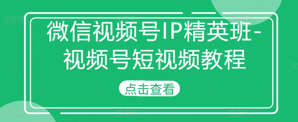 微信视频号IP精英班-视频号短视频教程-皮皮网创