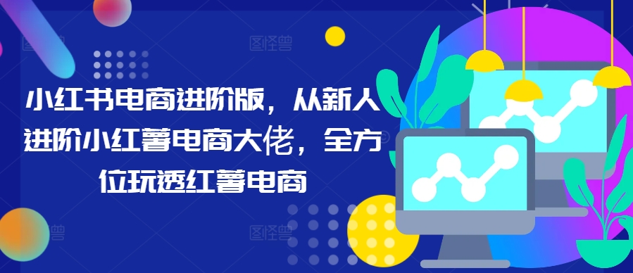 小红书电商进阶版，从新人进阶小红薯电商大佬，全方位玩透红薯电商-皮皮网创