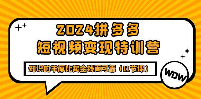 (9817期)2024拼多多短视频变现特训营，知识的丰厚比起金钱更可靠(11节课)-皮皮网创