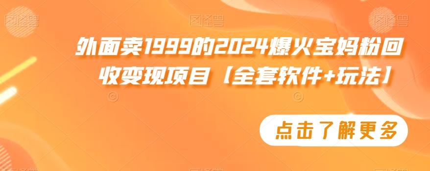 外面卖1999的2024爆火宝妈粉回收变现项目【全套软件+玩法】【揭秘】-皮皮网创