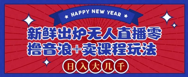 2024最新无人直播零撸音浪+卖课程玩法，日入大几千不是梦【揭秘】-皮皮网创