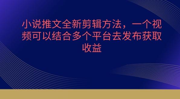 小说推文全新剪辑方法，一个视频可以结合多个平台去发布获取【揭秘】-皮皮网创