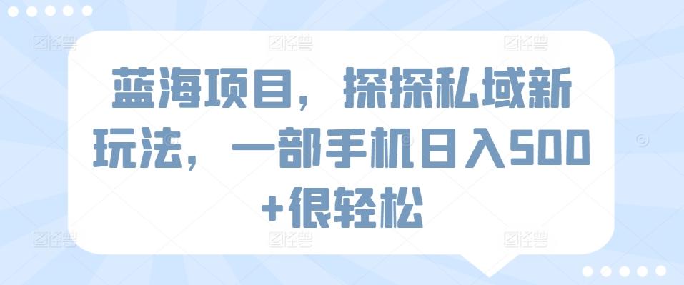 蓝海项目，探探私域新玩法，一部手机日入500+很轻松【揭秘】-皮皮网创