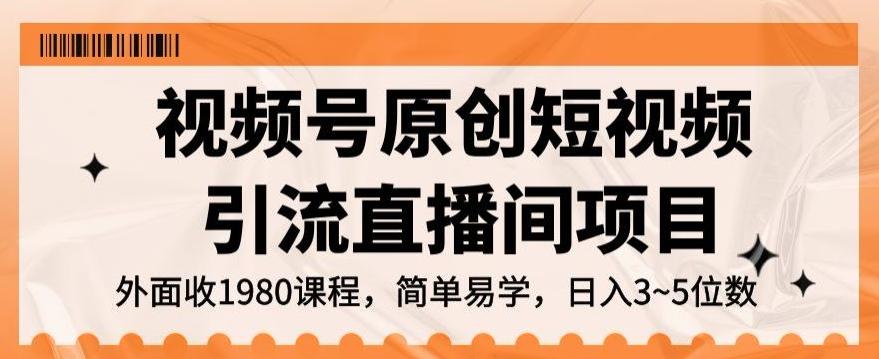 视频号原创短视频引流直播间项目，日入3~5五位数【揭秘】-皮皮网创