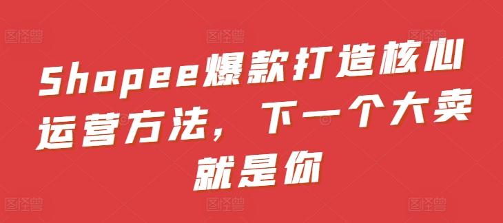 Shopee爆款打造核心运营方法，下一个大卖就是你-皮皮网创