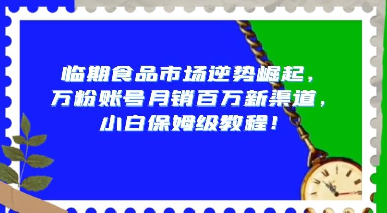 临期食品市场逆势崛起，万粉账号月销百万新渠道，小白保姆级教程【揭秘】-皮皮网创
