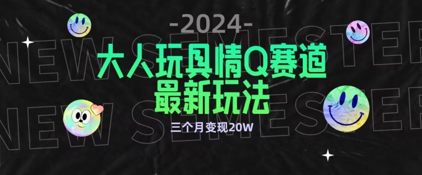 全新大人玩具情Q赛道合规新玩法，公转私域不封号流量多渠道变现，三个月变现20W【揭秘】-皮皮网创