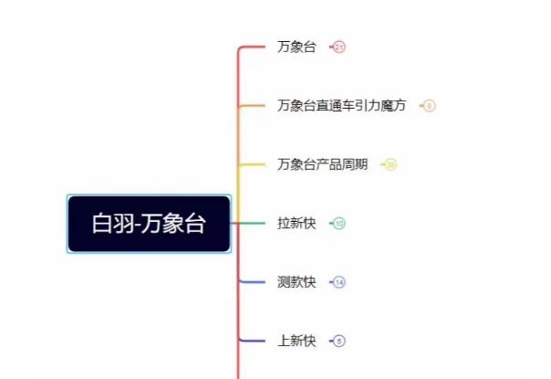 白羽·直引万搜索全篇，从0-1，多个类目实操经验总结付费-皮皮网创