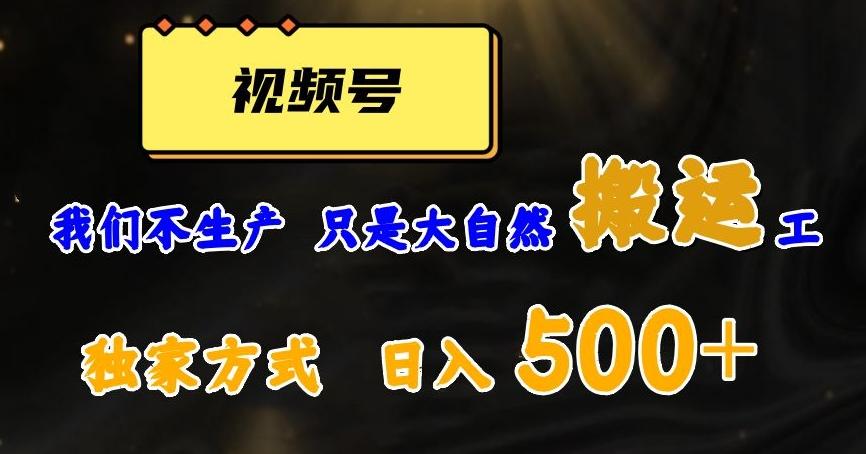 视频号轻松搬运日赚500+，一个1分钟1条原创视频【揭秘】-皮皮网创