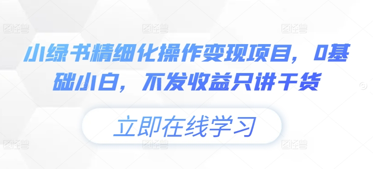 小绿书精细化操作变现项目，0基础小白，不发收益只讲干货-皮皮网创