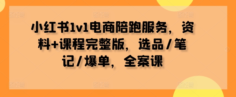 小红书1v1电商陪跑服务，资料+课程完整版，选品/笔记/爆单，全案课-皮皮网创