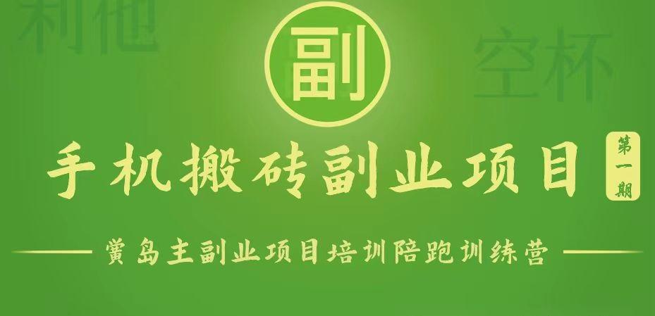 手机搬砖小副业项目训练营1.0，能用手机做的简单小副业-皮皮网创