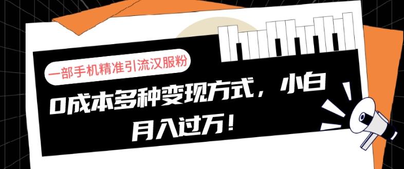 一部手机精准引流汉服粉，0成本多种变现方式，小白月入过万！-皮皮网创