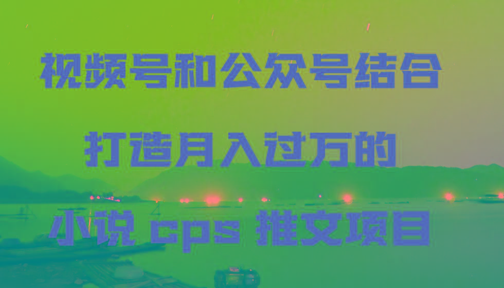 视频号和公众号结合打造月入过万的小说cps推文项目，包括市面上面的各种思路详解-皮皮网创
