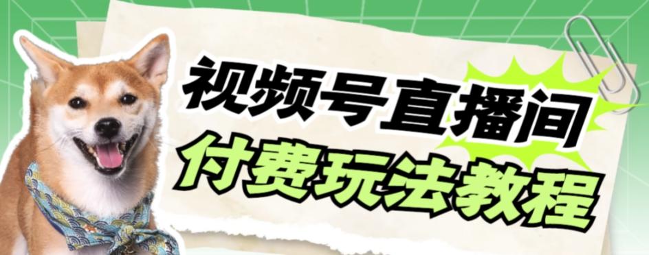视频号美女付费无人直播，轻松日入500+【详细玩法教程】-皮皮网创