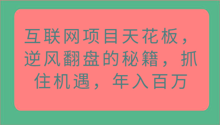 互联网项目天花板，逆风翻盘的秘籍，抓住机遇，年入百万-皮皮网创