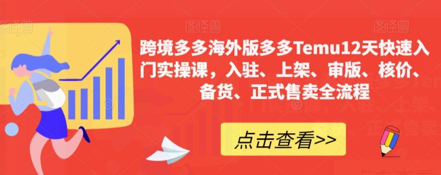 跨境多多海外版多多Temu12天快速入门实操课，入驻、上架、审版、核价、备货、正式售卖全流程-皮皮网创