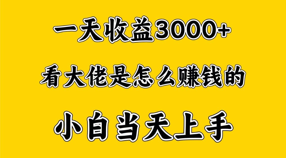 一天赚3000多，大佬是这样赚到钱的，小白当天上手，穷人翻身项目-皮皮网创