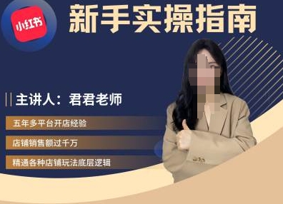 君君-小红书电商从入门到精通，新手实操指南-皮皮网创