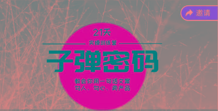 《子弹密码训练营》-用一句话文案勾人勾心卖产品，21天学到顶尖文案大师策略和技巧-皮皮网创