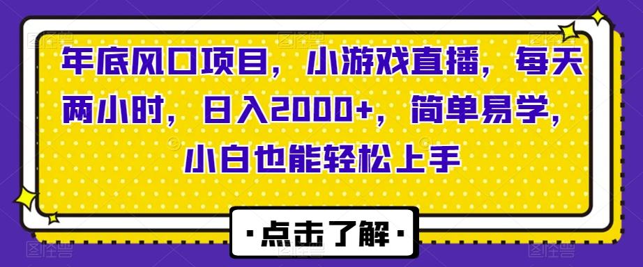 年底风口项目，小游戏直播，每天两小时，日入2000+，简单易学，小白也能轻松上手-皮皮网创