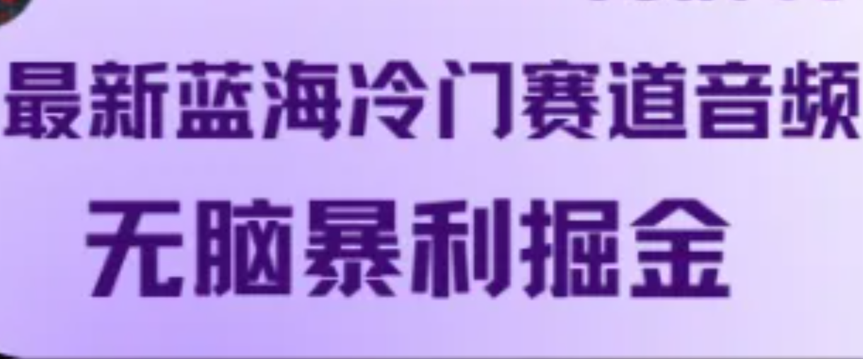 最新蓝海冷门赛道音频，无脑暴利掘金-皮皮网创