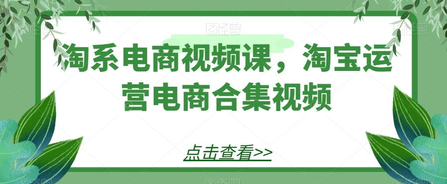淘系电商视频课，淘宝运营电商合集视频-皮皮网创
