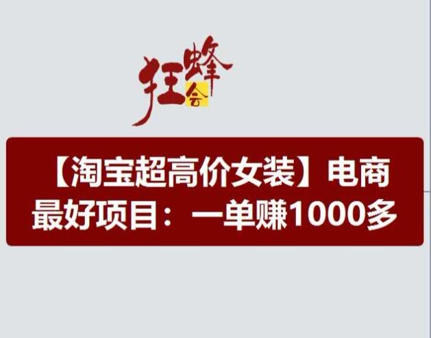淘宝超高价女装项目，电商最好赛道，一单赚1000多-皮皮网创
