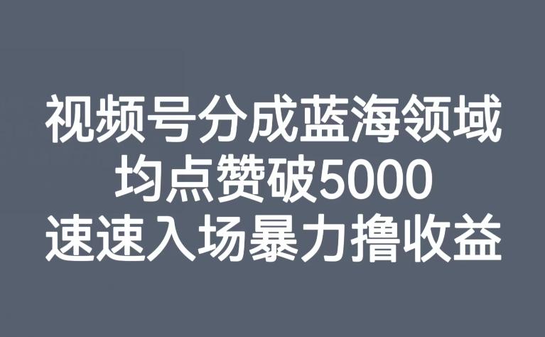 视频号分成蓝海领域，均点赞破5000，速速入场暴力撸收益-皮皮网创