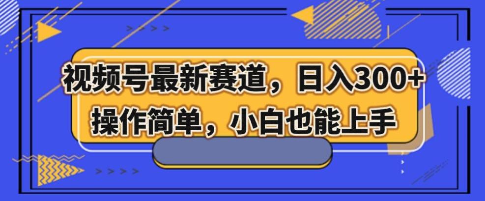 视频号最新赛道，日入300+，新手小白轻松掌握-皮皮网创