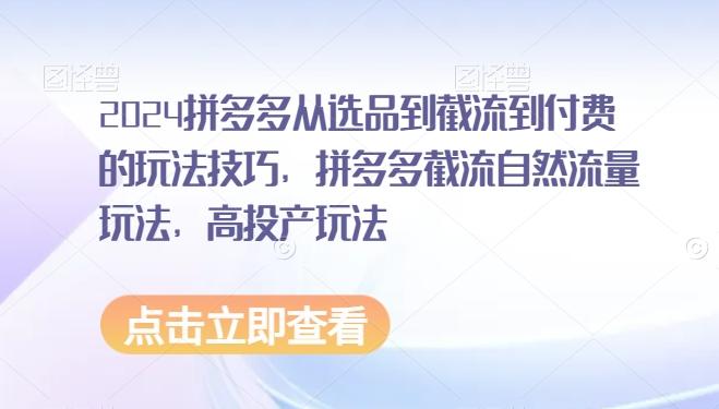 2024拼多多从选品到截流到付费的玩法技巧，拼多多截流自然流量玩法，高投产玩法-皮皮网创