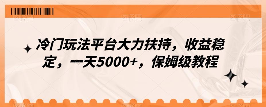 冷门玩法平台大力扶持，收益稳定，一天5000+，保姆级教程（附抖音7天起号法）-皮皮网创