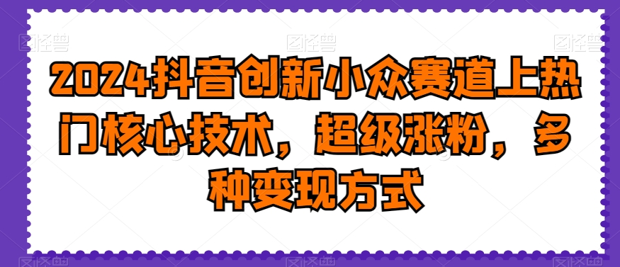 2024抖音创新小众赛道上热门核心技术，超级涨粉，多种变现方式【揭秘】-皮皮网创