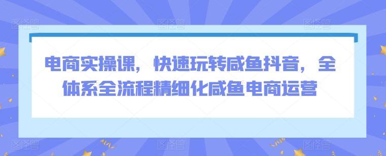 电商实操课，快速玩转咸鱼抖音，全体系全流程精细化咸鱼电商运营-皮皮网创