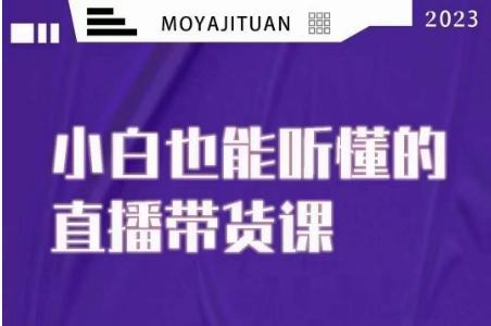 大威本威·能听懂的直播带货课，小白也能听懂，20节完整-皮皮网创