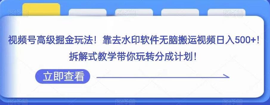 视频号高级掘金玩法，靠去水印软件无脑搬运视频日入500+，拆解式教学带你玩转分成计划【揭秘】-皮皮网创
