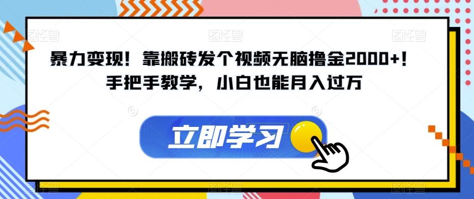 暴力变现！靠搬砖发个视频无脑撸金2000+！手把手教学，小白也能月入过万【揭秘】-皮皮网创