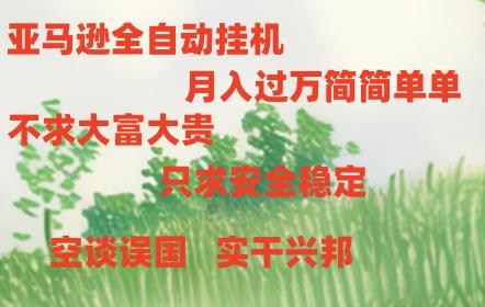 亚马逊全自动浏览挂机，，收益稳定且前景广阔-皮皮网创