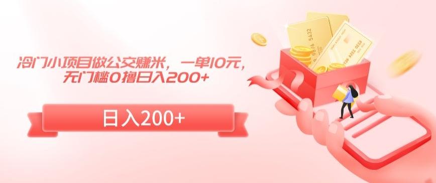 冷门小项目做公交赚米，一单10元，无门槛0撸日入200+【揭秘】-皮皮网创