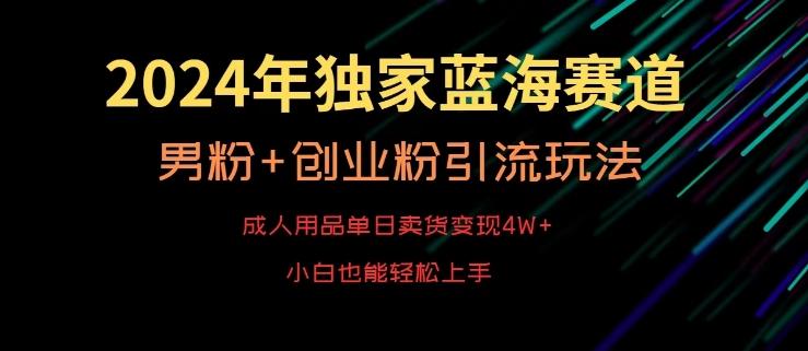 2024年独家蓝海赛道，成人用品单日卖货变现4W+，男粉+创业粉引流玩法，不愁搞不到流量【揭秘】-皮皮网创