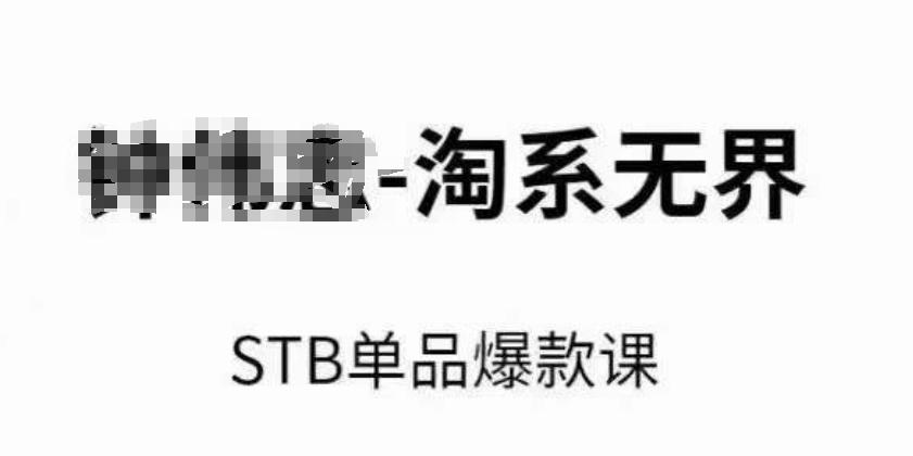 淘系无界STB单品爆款课(2024)，付费带动免费的核心逻辑，万相台无界关键词推广/精准人群的核心-皮皮网创