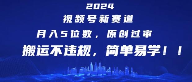 2024视频号新赛道，月入5位数+，原创过审，搬运不违规，简单易学【揭秘】-皮皮网创