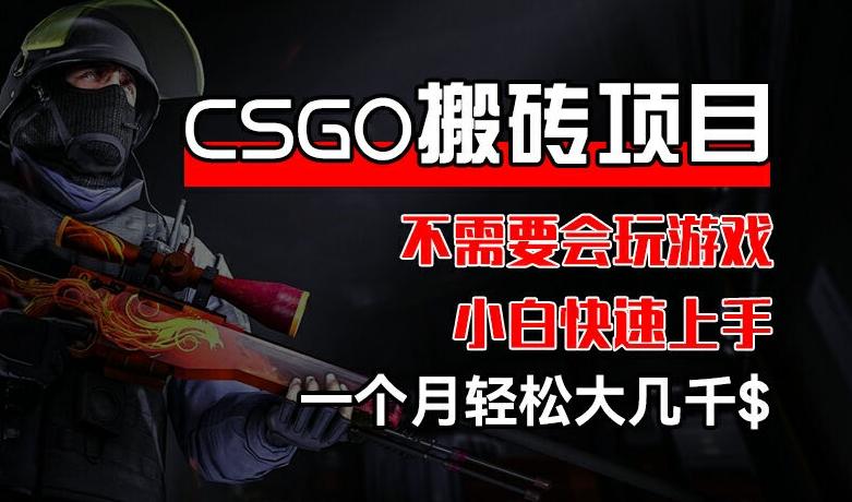 CSGO 装备搬砖项目，操作简单，不需要会玩游戏，小白也能快速上手，一个月轻松大几千【揭秘】-皮皮网创
