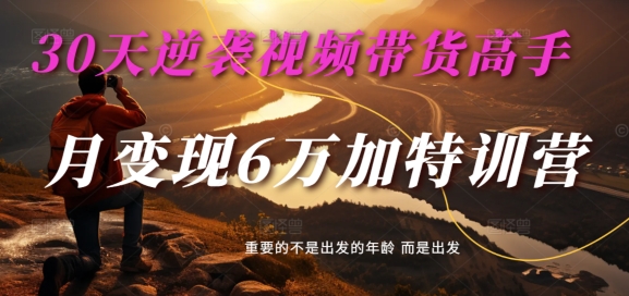 30天逆袭视频带货高手，单月变现6万加特训营-麦子甜-皮皮网创