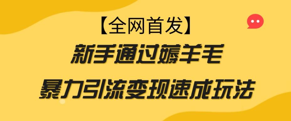 【全网首发】新手通过薅羊毛暴力引流变现速成玩法-皮皮网创