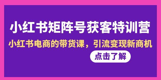 小红书-矩阵号获客特训营-第10期，小红书电商的带货课，引流变现新商机-皮皮网创