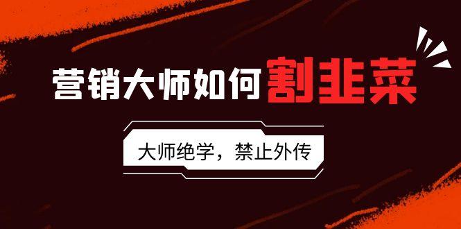 营销大师如何割韭菜：流量大师/讲故事大师/话术大师/卖货大师/成交大师/…-皮皮网创