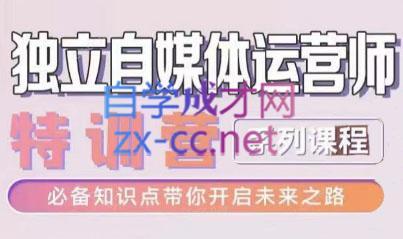 博老师·2024独立自媒体运营师特训营-皮皮网创